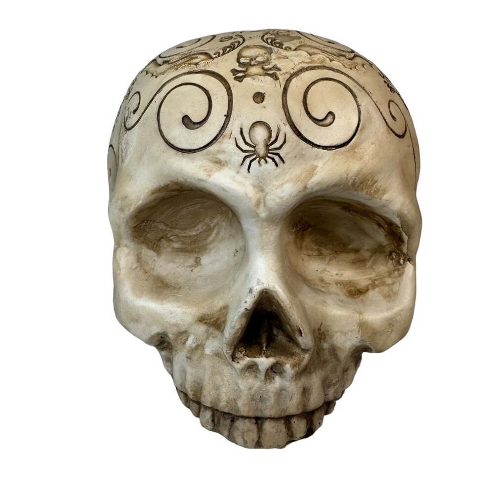 Beige Swirly Anatomical Skull Replica Halloween Horror Spider Bats Goth Witchy